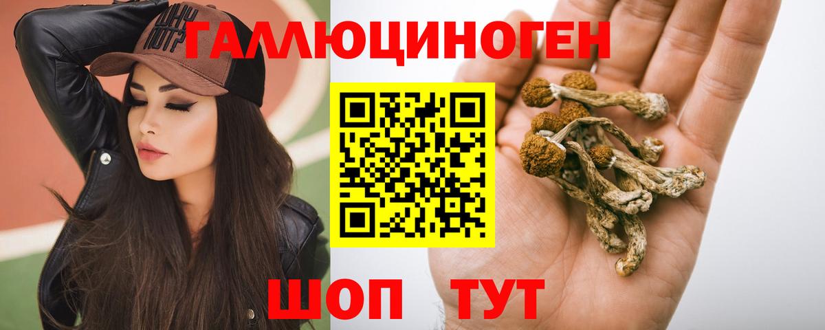 Вышний Волочёк  Псилоцибиновые грибы GOLDEN TEACHER  Вход с VPN 